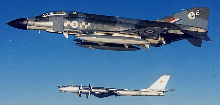 Phantom-Bear-D
